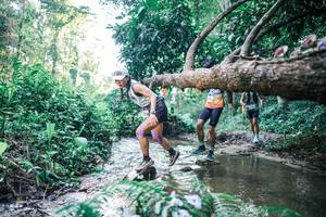 BIB: 
                            <button type="button" onclick="openModal(25430895)" class="btn btn-primary btn-sm float-right btn-popup" data-toggle="modal" data-target=".modal-high-quality">
                        <i class="fas fa-shopping-cart"></i> Add to Cart
                    </button>
                                            <button type="button" onclick="isThisMe(25430895, true)" class="btn btn-success btn-sm float-right btn-popup btn-isme hidden" data-toggle="tooltip" data-placement="bottom" title="นี่คือรูปของคุณใช่ไหม คลิกที่นี่เพื่อเอาเข้าอัลบั้ม">
                        <i class="fas fa-plus"></i> Add to album
                    </button>
                    <button type="button" onclick="isThisMe(25430895, false)" class="btn btn-warning btn-sm float-right btn-popup btn-isnotme hidden">
                        <i class="fas fa-ban"></i> Remove from album
                    </button>